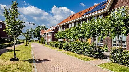 Ede